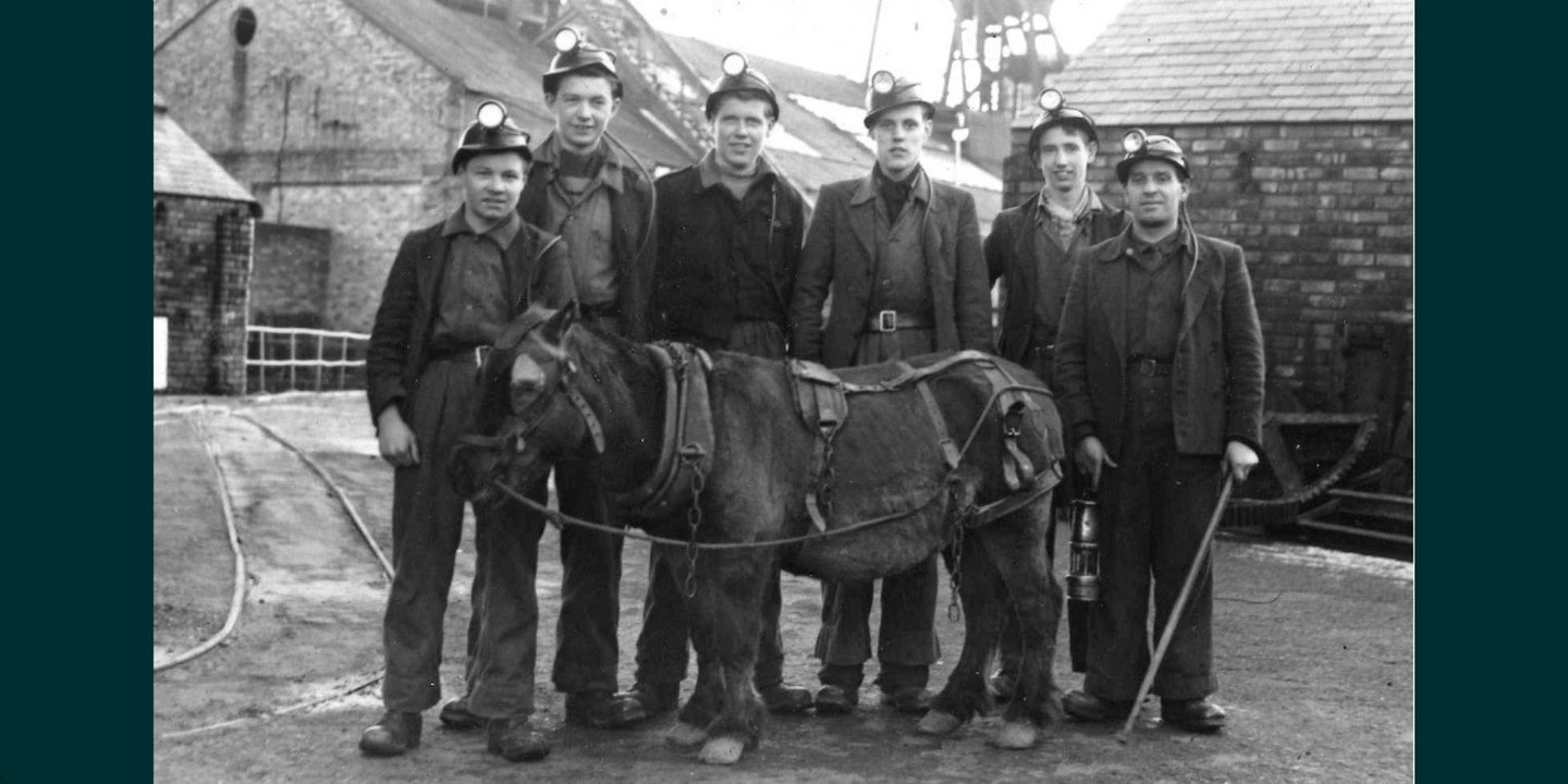 Image of a group of miners and a small horse