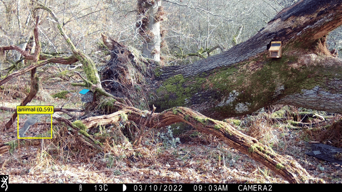bottom (6)_Dueshill-Wood_000240 1